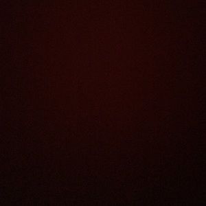 Meet your Posher, Kinley