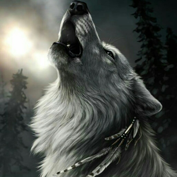 Meet your Posher, Patsy - Picture 1 of 1