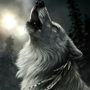 Meet your Posher, Patsy