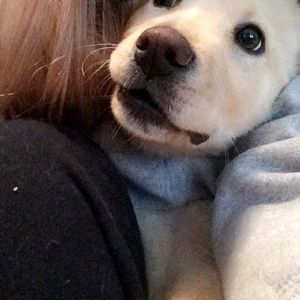 Meet your Posher, Rachel