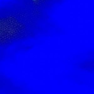 Meet your Posher, Sandy