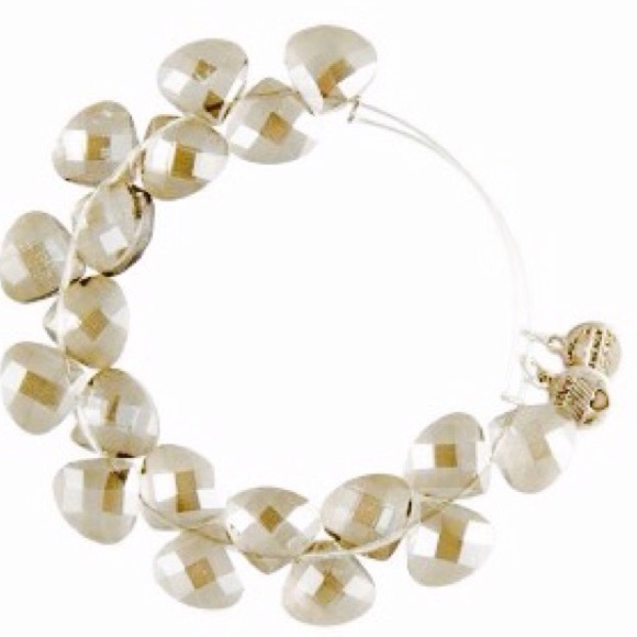 NWT - $68 Alex & Ani Rendezvous in 'Shadow' - Picture 2 of 4