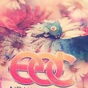 ❌sold❌Selling Edc ticket