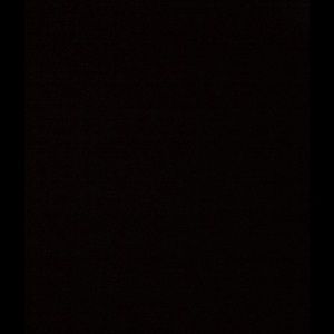 Meet your Posher, Phillip