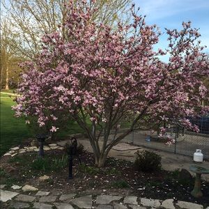 Meet your Posher, Jean