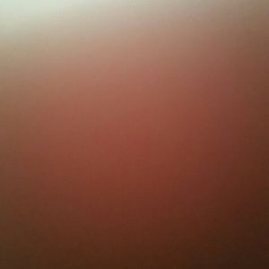 Meet your Posher, Devan