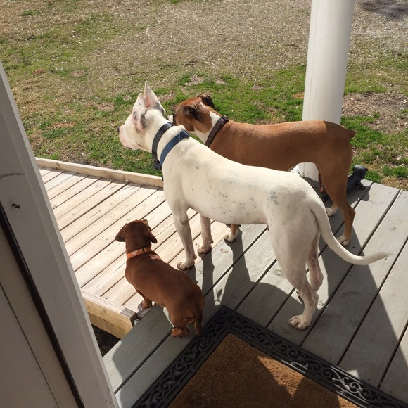 Meet your Posher, Keri - Picture 2 of 3