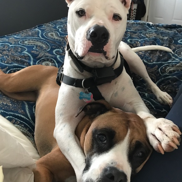 Meet your Posher, Keri - Picture 3 of 3