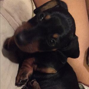 Meet your Posher, Ruby