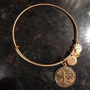 Alex and Ani tree of life bracelet