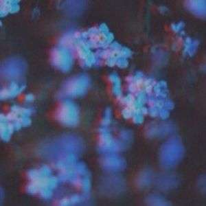 Meet your Posher, Alana