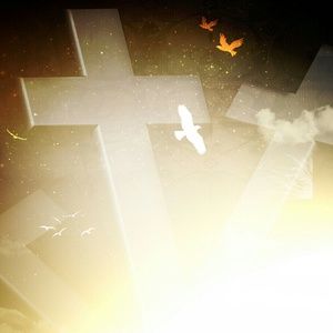 Meet your Posher, Vera