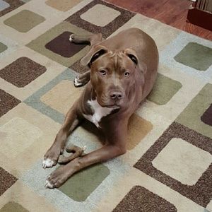 Meet your Posher, Tim