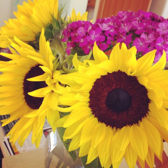 Meet your Posher, Juliet - Picture 1 of 1