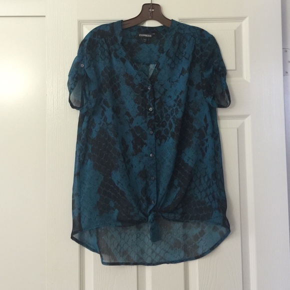 Express See-through/Sheer Summer Top
