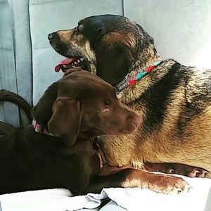 Meet your Posher, Julia