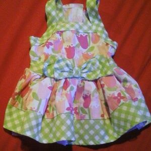 Smoochie  Pooch  Summer  dog  dress