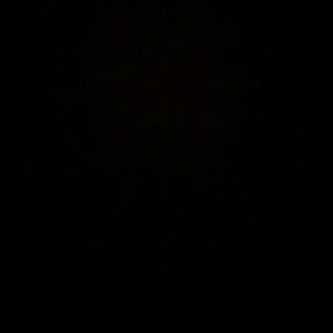 Meet your Posher, Miranda