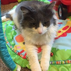 Meet your Posher, Ellen