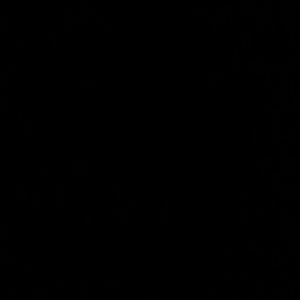 Meet your Posher, Lisbeth