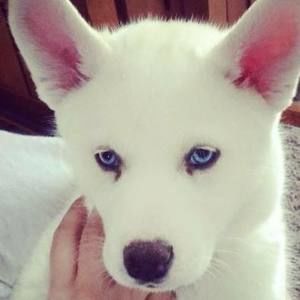 Meet your Posher, Janella