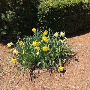 Meet your Posher, Karen