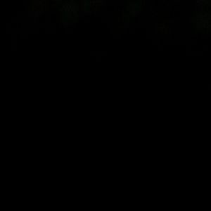 Meet your Posher, Vickie