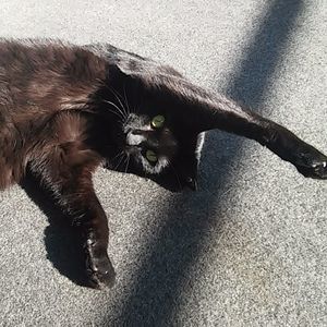 Meet your Posher, Audrea