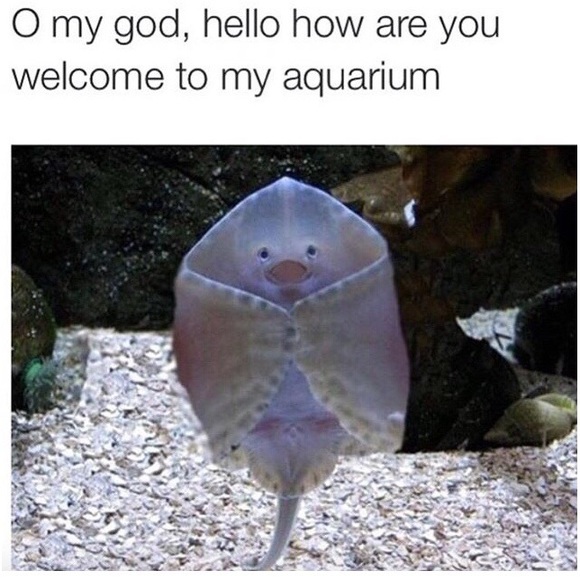 ABOUT ME πβ¬οΈ - Picture 2 of 4