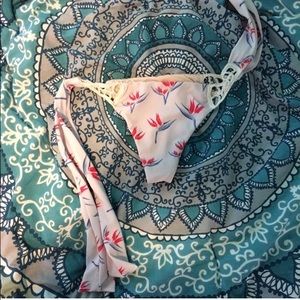 Bird of paradise Aninis