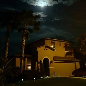 Meet your Posher, Damaris