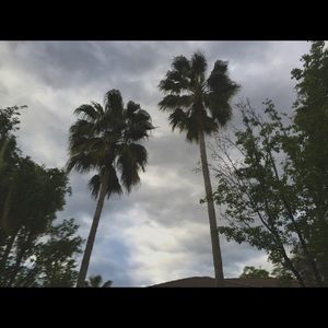 Meet your Posher, Bryanneh