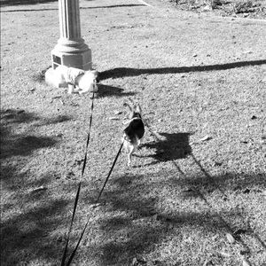 Meet your Posher, Stephy