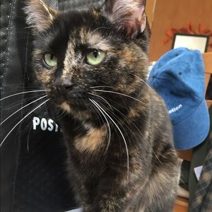 Meet your Posher, Angela