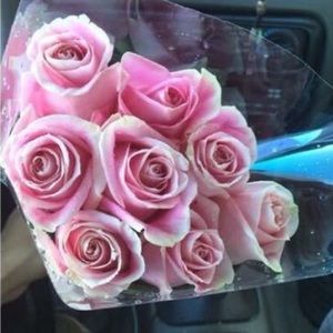 Meet your Posher, Kiley