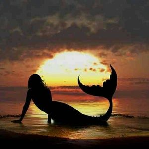 Meet your Posher, Marisol