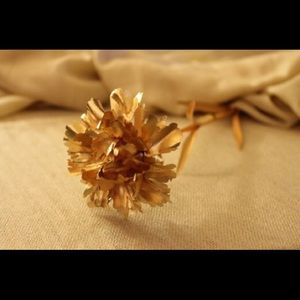 Mother's Day Gift Special 24K Gold Foil Carnation