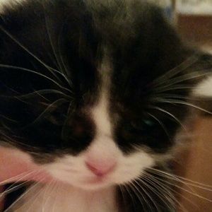 Meet your Posher, Alma