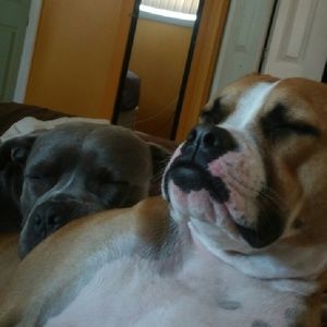 Meet your Posher, Neilla