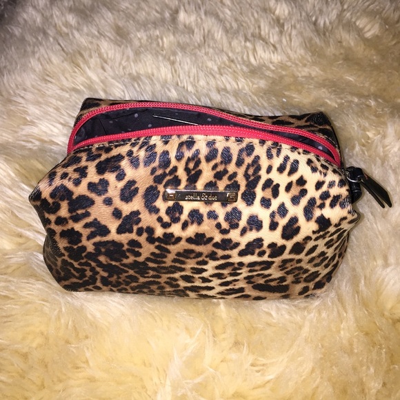 Stella & Dot Pouf case
