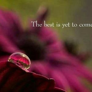 Meet your Posher, Shaney