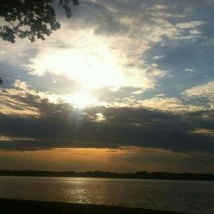 Meet your Posher, Charity