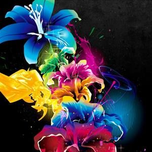 Meet your Posher, Asia