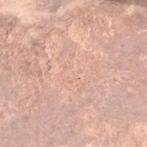 Meet your Posher, Saire