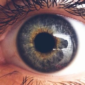 Meet your Posher, Mackey