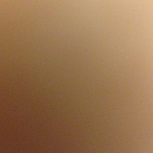 Meet your Posher, Adriana