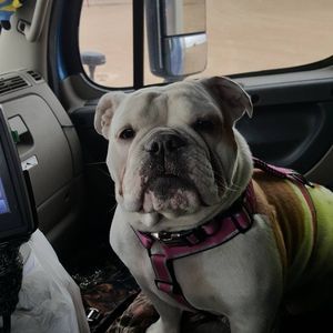 Meet your Posher, Helen