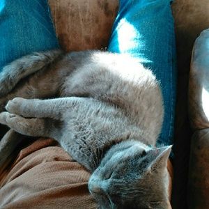 Meet your Posher, Patti