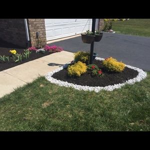 Meet your Posher, Teju