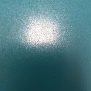 Meet your Posher, Ray